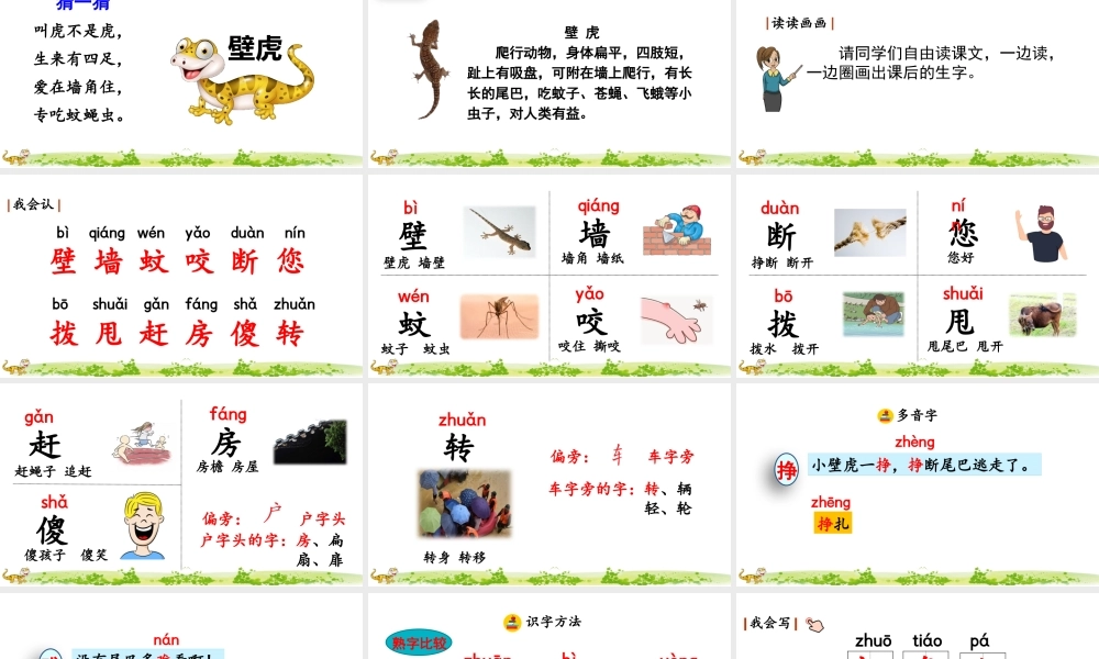 部编版一年级语文下册第21课小壁虎借尾巴精品课件.pptx