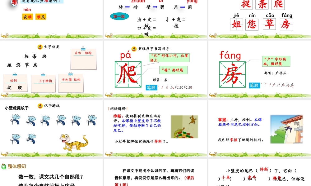 部编版一年级语文下册第21课小壁虎借尾巴精品课件.pptx