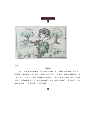 一年级语文下册看图写话范文50篇附答案可打印.docx