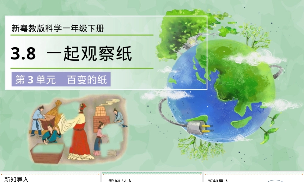 新粤教版一年级科学下册第3单元百变的纸一起观察纸公开课课件.pptx