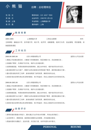总经理求职简历Word模板简约大气蓝色风可编辑下载.docx