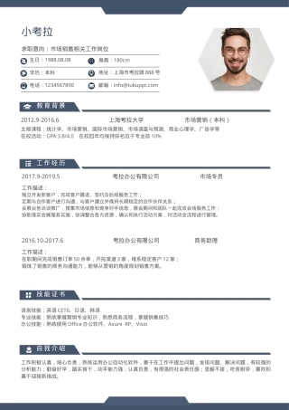 市场销售求职简历Word模板蓝色经典商务风可编辑下载.docx