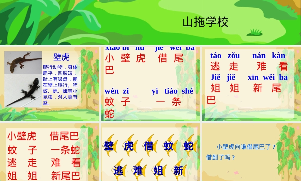 人教版一年级语文下册小壁虎借尾巴公开课课件.ppt