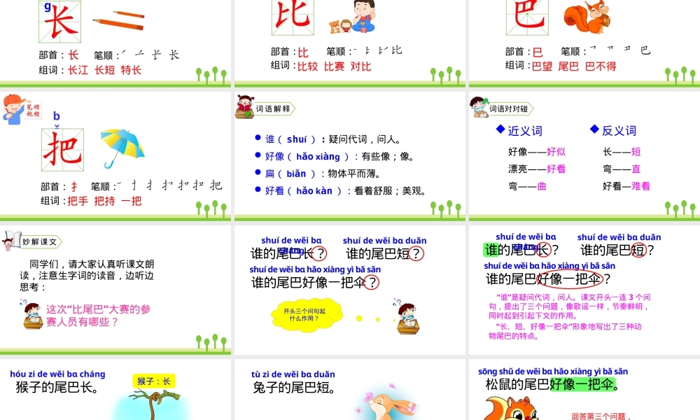 部编版一年级语文上册第6课比尾巴PPT课件公开课.pptx