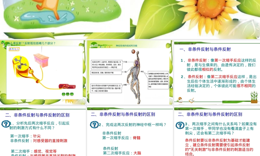 人教版七年级生物非条件反射与条件反射课件.ppt