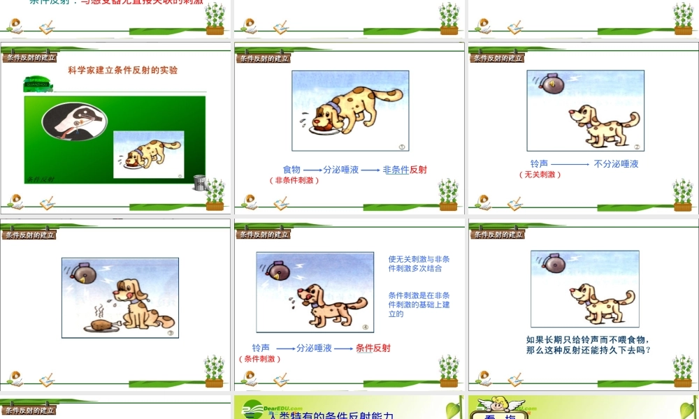 人教版七年级生物非条件反射与条件反射课件.ppt
