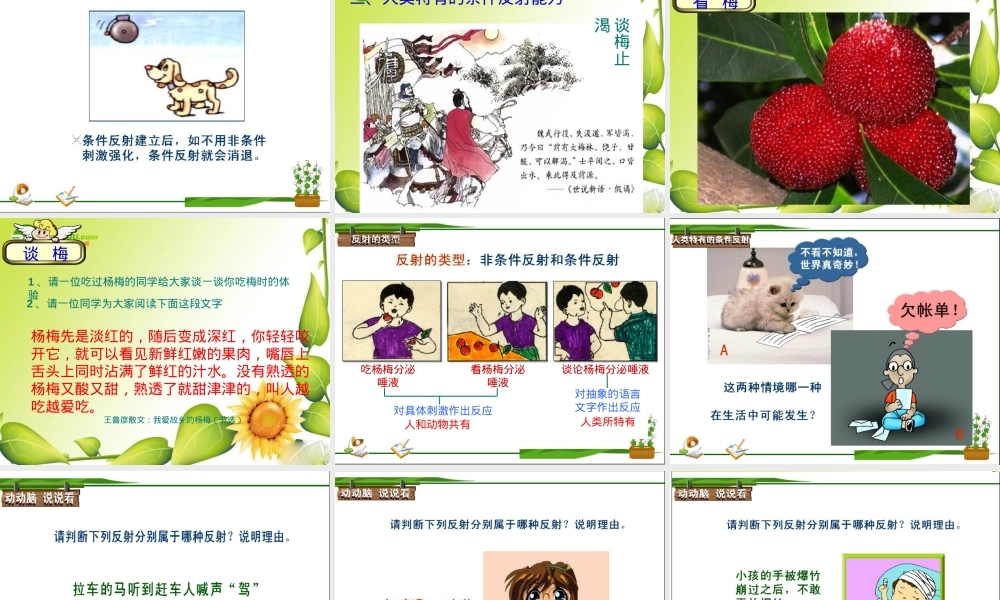 人教版七年级生物非条件反射与条件反射课件.ppt