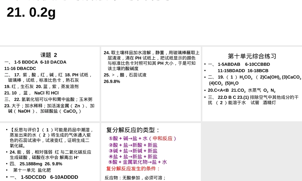 九年级化学下册练习册答案.ppt