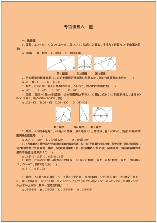 九年级数学圆专题训练题（含答案可打印）.doc