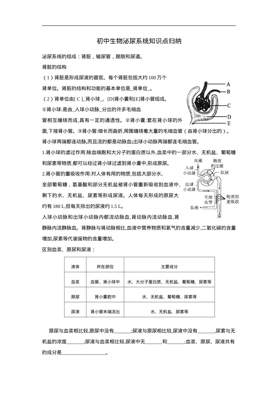 初中生物泌尿系统知识点归纳及练习题含答案.doc_第1页