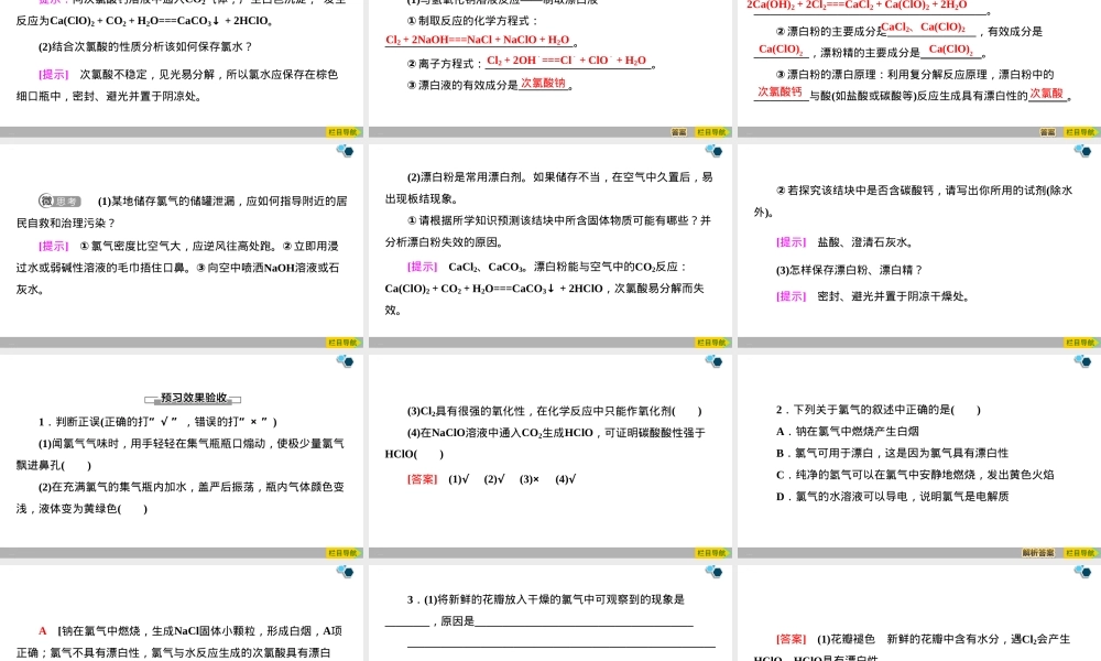 氯气及其化合物教学PPT课件.pptx