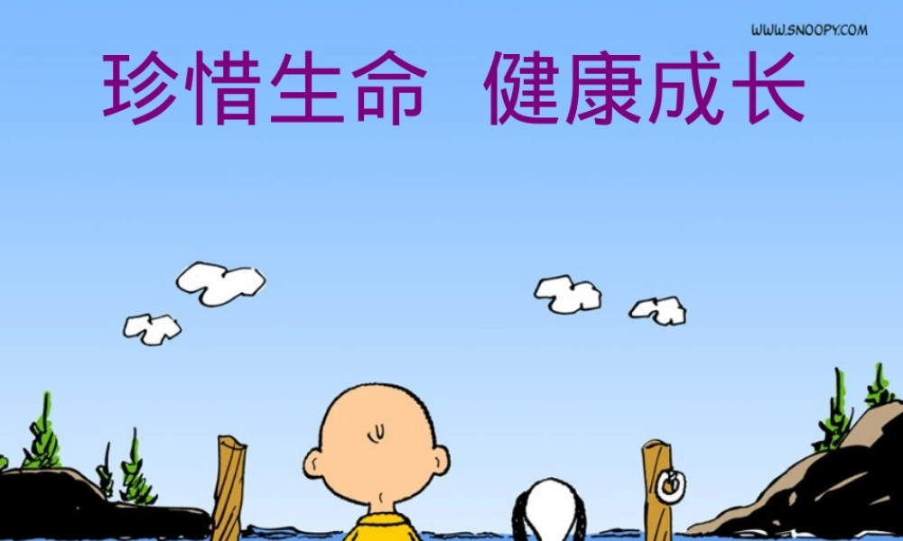 珍爱生命主题班会PPT课件 副本3.ppt