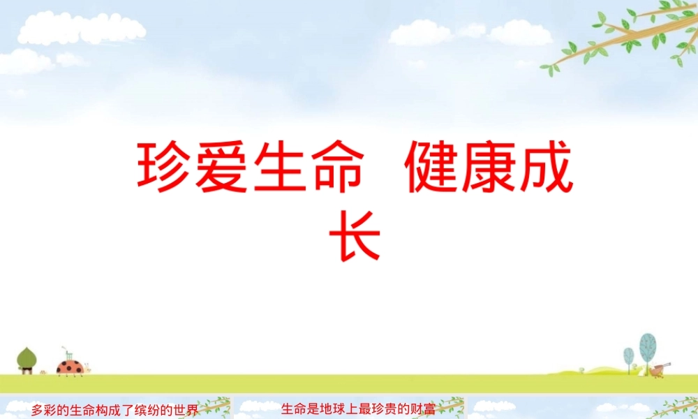 珍爱生命健康成长主题班会PPT课件 副本3.ppt