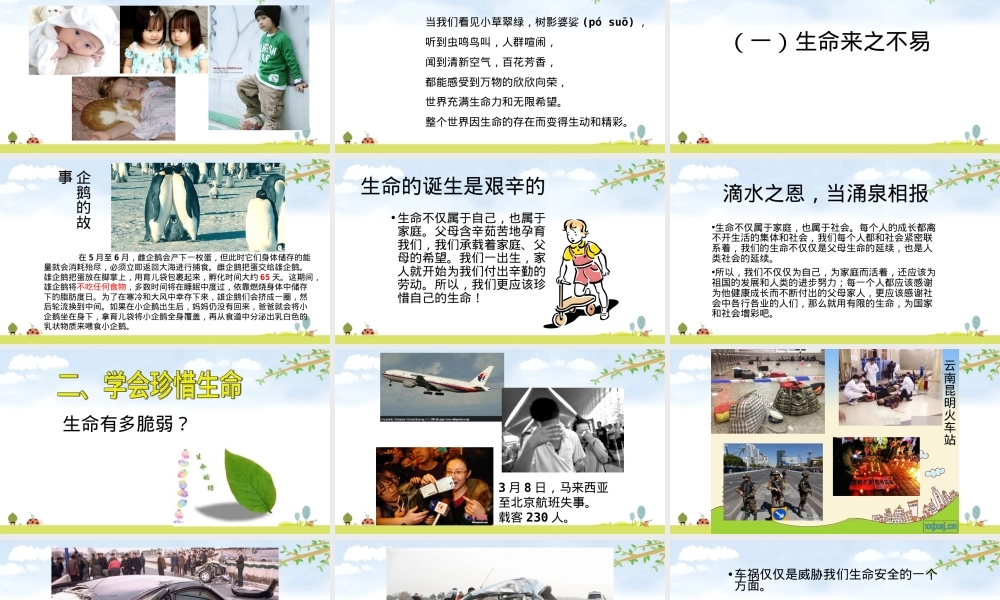 珍爱生命健康成长主题班会PPT课件 副本3.ppt
