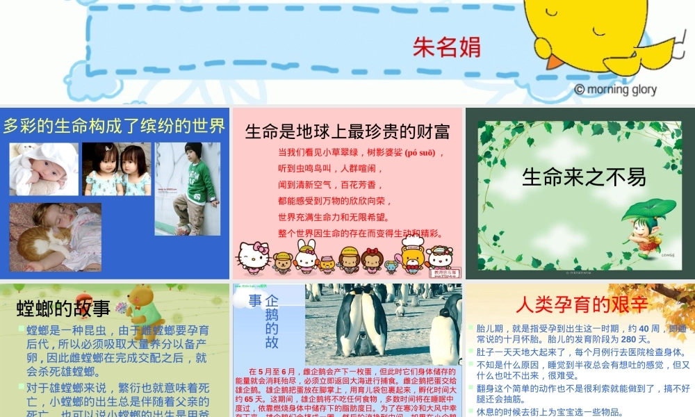 珍爱生命健康成长主题班会PPT课件 副本2.ppt