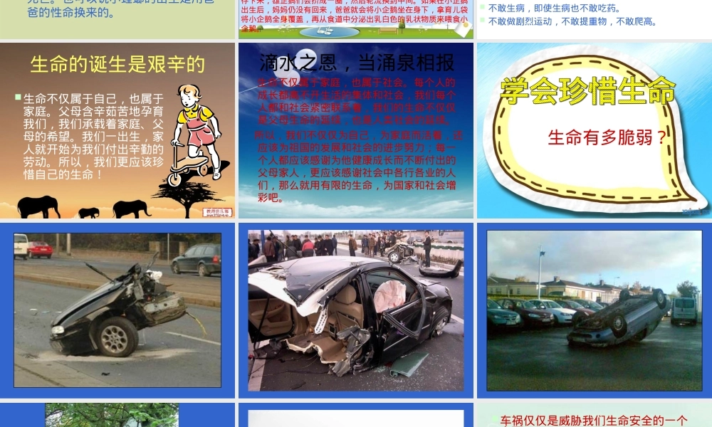 珍爱生命健康成长主题班会PPT课件 副本2.ppt