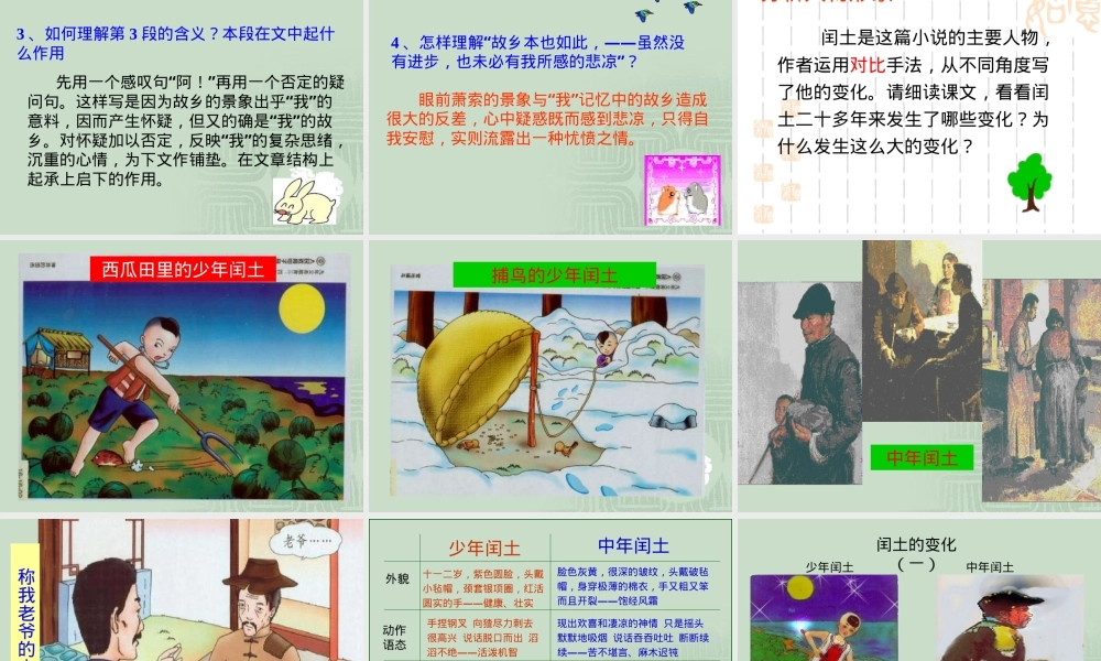 鲁迅故乡教学PPT课件.ppt