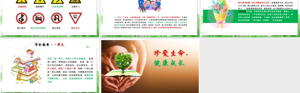 珍爱生命健康成长主题班会PPT课件.pptx