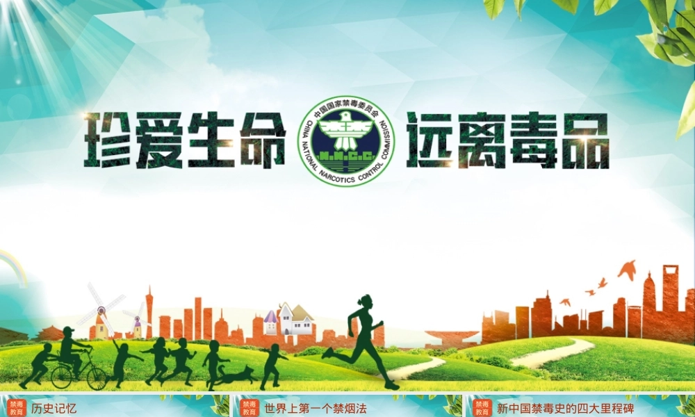 珍爱生命远离毒品主题班会PPT课件.pptx