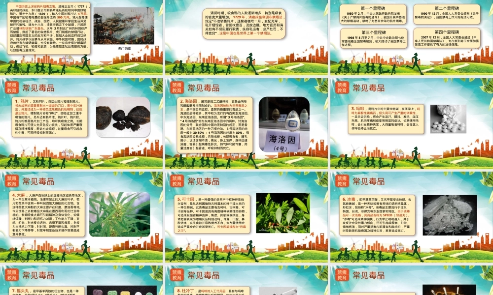 珍爱生命远离毒品主题班会PPT课件.pptx