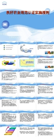 GAP认证实施细则PPT课件.ppt