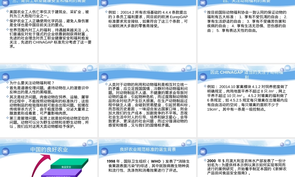 GAP认证实施细则PPT课件.ppt
