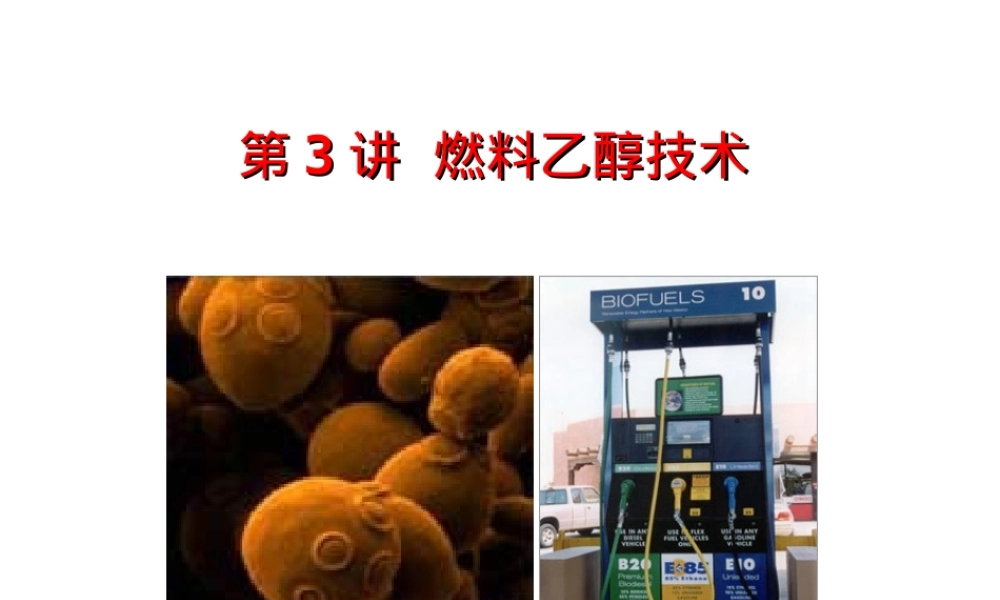 第3讲-燃料乙醇,燃料乙醇教学PPT课件.ppt
