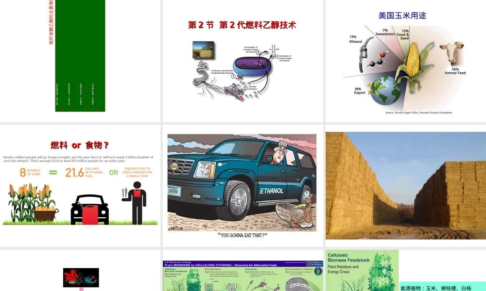 第3讲-燃料乙醇,燃料乙醇教学PPT课件.ppt