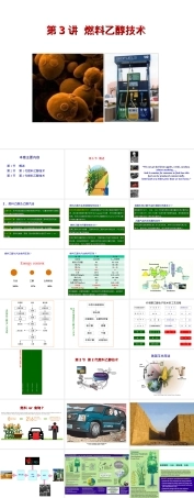 第3讲-燃料乙醇,燃料乙醇教学PPT课件.ppt