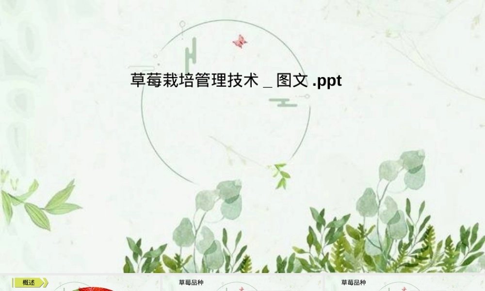 草莓栽培管理技术PPT课件.pptx