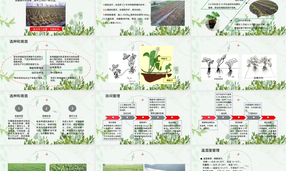 草莓栽培管理技术PPT课件.pptx
