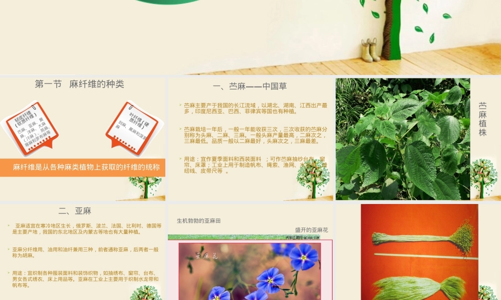 第2章-麻纤维,麻纤维纺织材料教学PPT课件.ppt