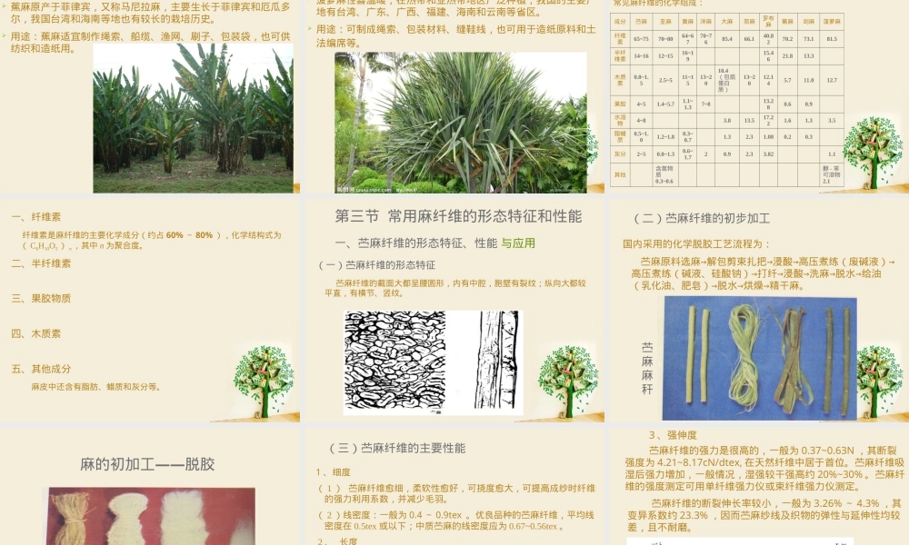 第2章-麻纤维,麻纤维纺织材料教学PPT课件.ppt