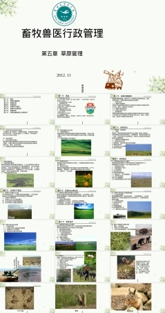 草原管理教学PPT课件.ppt