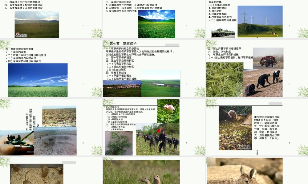 草原管理教学PPT课件.ppt