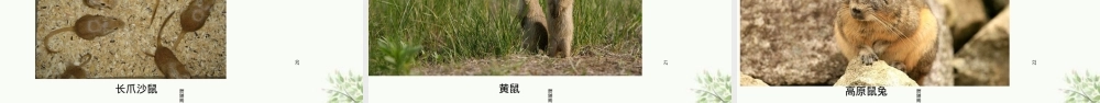 草原管理教学PPT课件.ppt