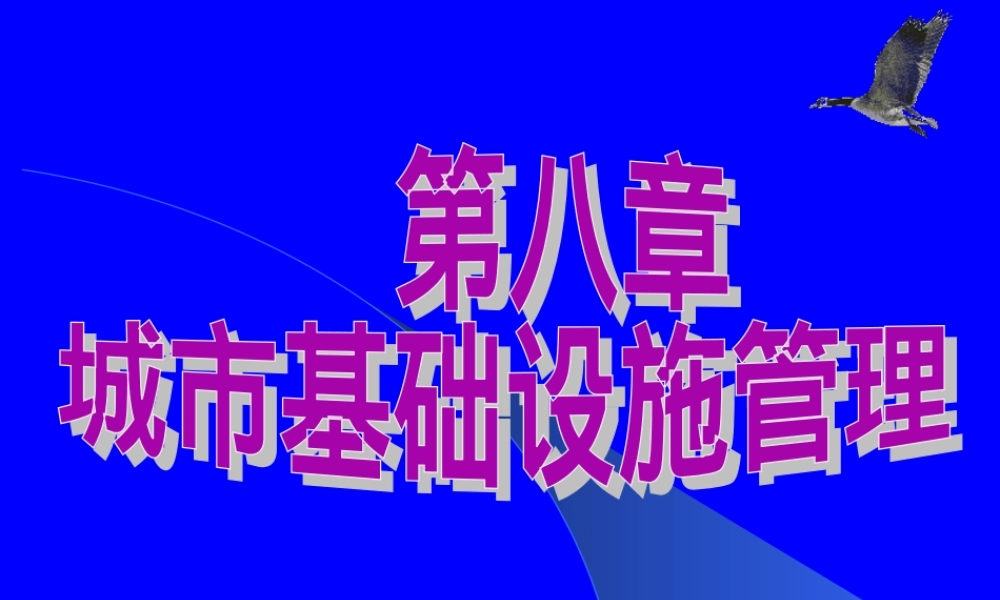 第八章城市基础设施管理教学PPT课件.ppt