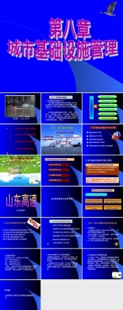 第八章城市基础设施管理教学PPT课件.ppt