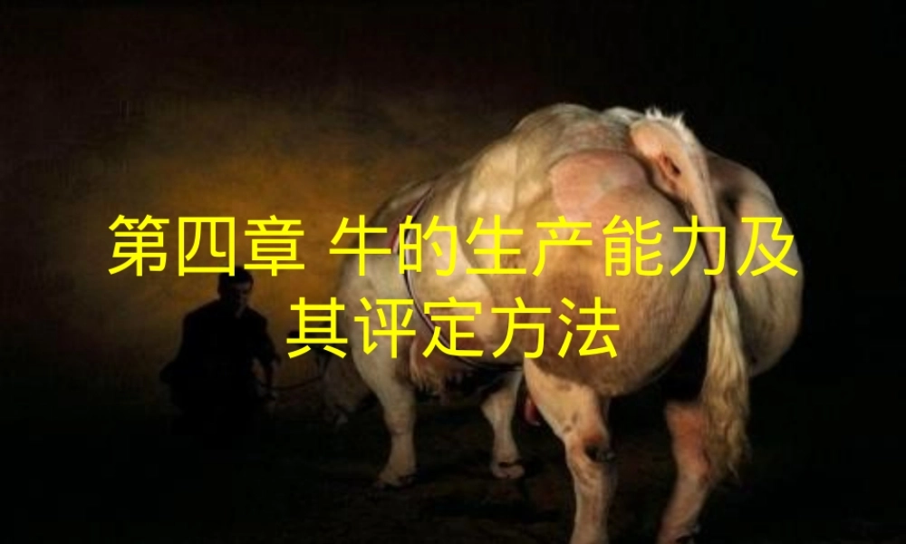 第四章牛的生产能力及其评定方法PPT课件.ppt