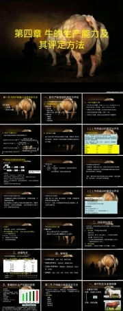 第四章牛的生产能力及其评定方法PPT课件.ppt