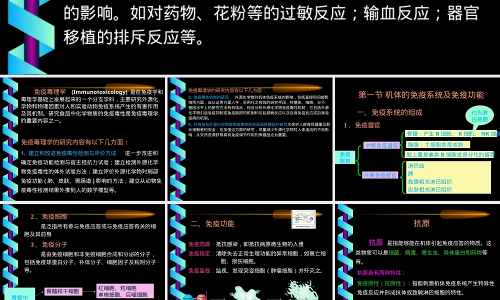 第十章免疫毒性及其检测方法PPT课件.ppt