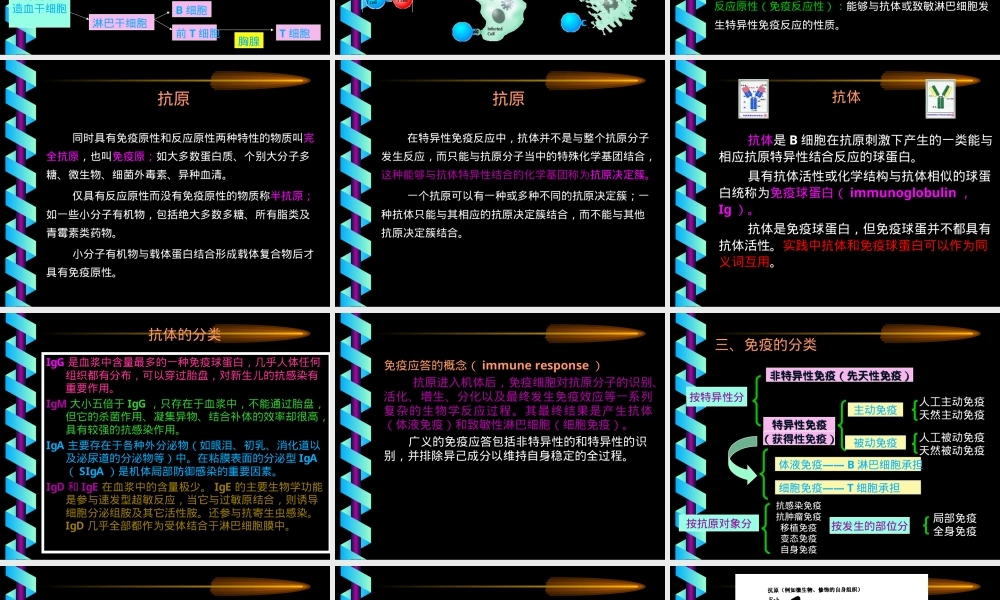 第十章免疫毒性及其检测方法PPT课件.ppt