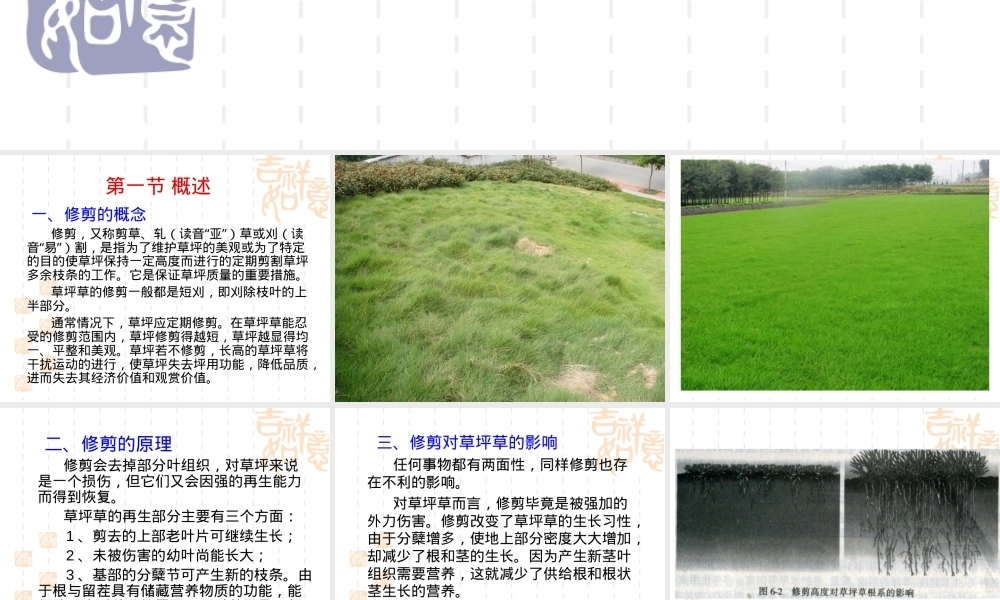 草坪的修剪,草坪修剪技术与养护管理PPT课件.ppt