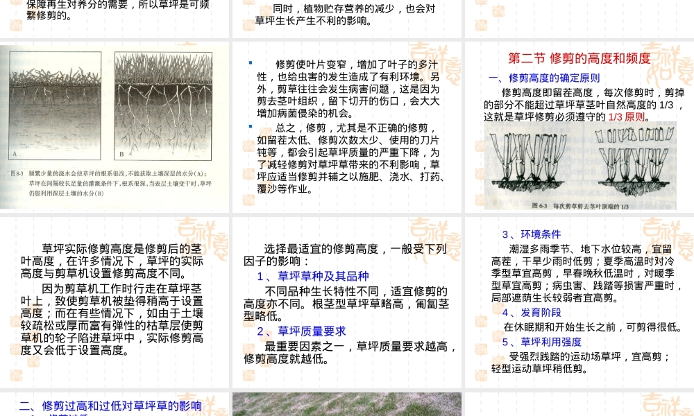 草坪的修剪,草坪修剪技术与养护管理PPT课件.ppt