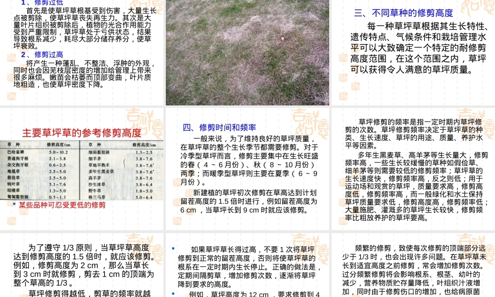 草坪的修剪,草坪修剪技术与养护管理PPT课件.ppt