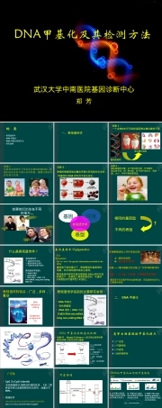 DNA甲基化及其检测PPT课件.ppt