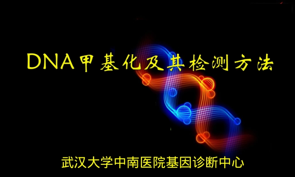 DNA甲基化及其检测PPT课件.ppt
