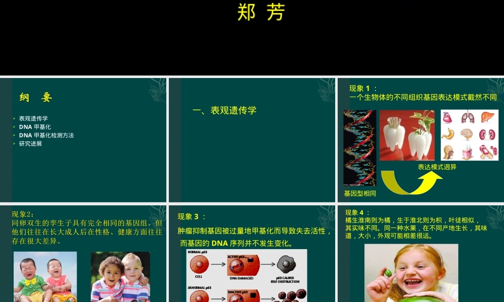 DNA甲基化及其检测PPT课件.ppt