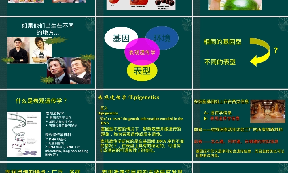 DNA甲基化及其检测PPT课件.ppt