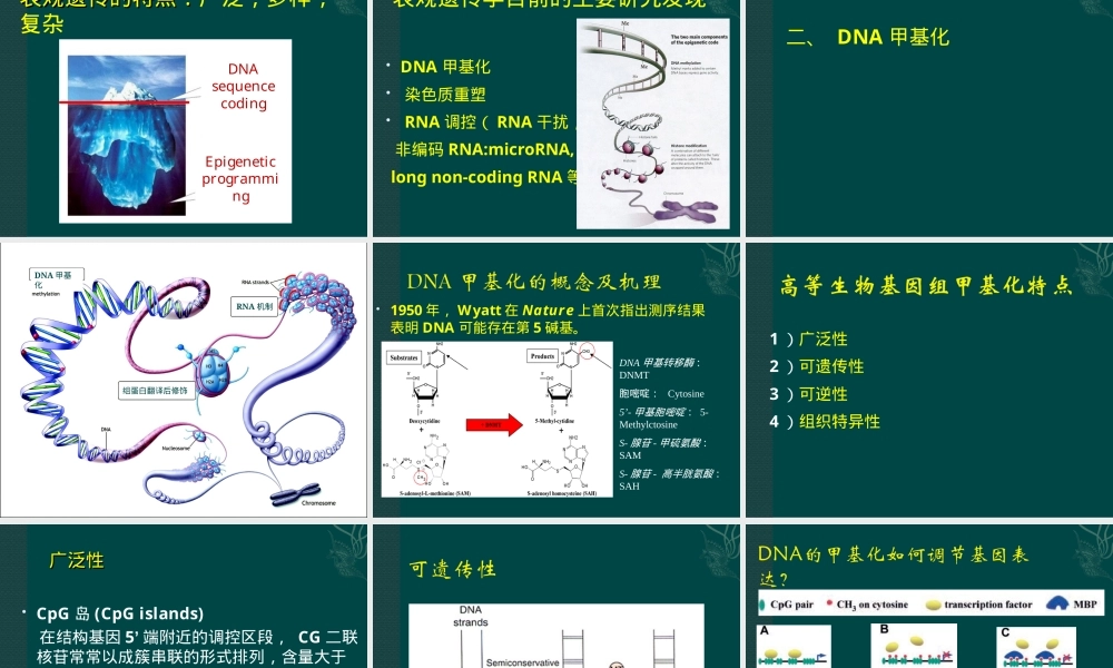 DNA甲基化及其检测PPT课件.ppt